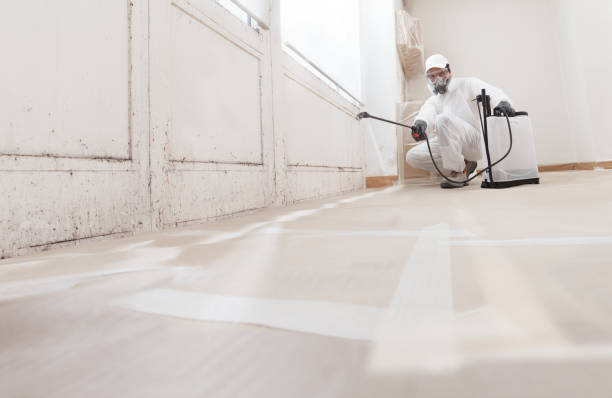 24/7 Emergency Commercial Mold Remediation experts in Yeagertown, PA